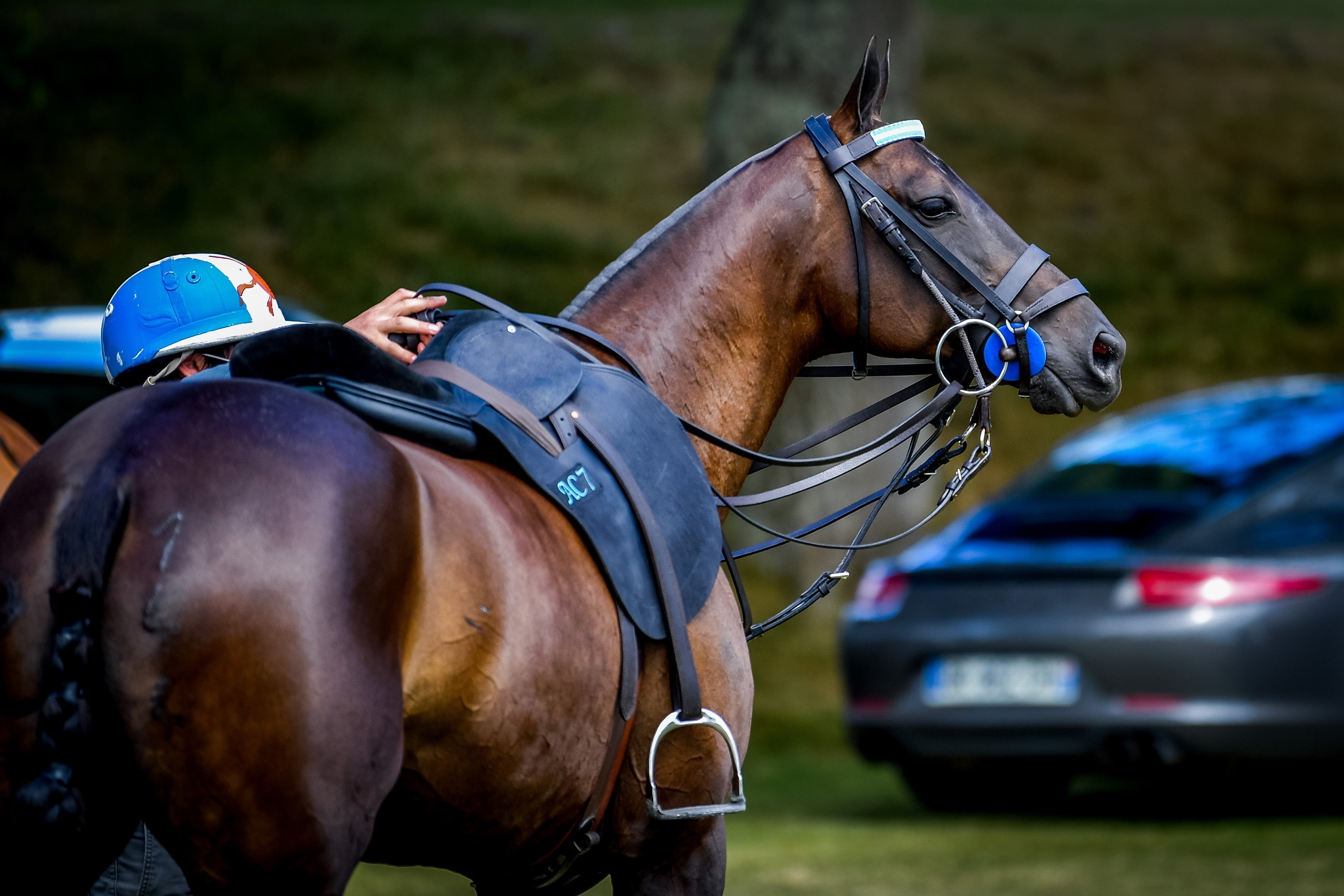 Does Equipment Weight Really Matter in Polo?