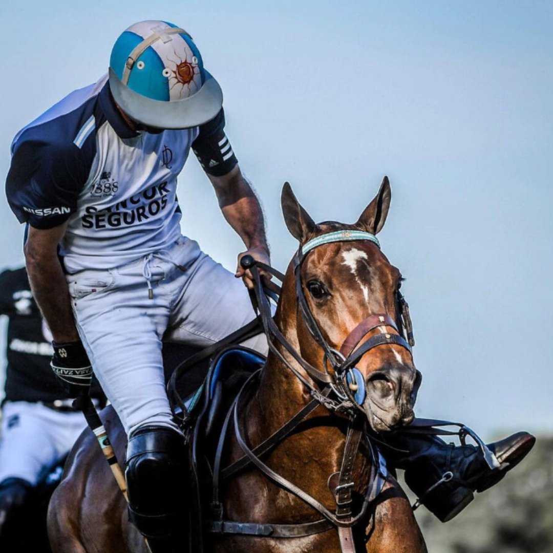 Cuartetera: A cloned Legacy - Ainsley Saddlery