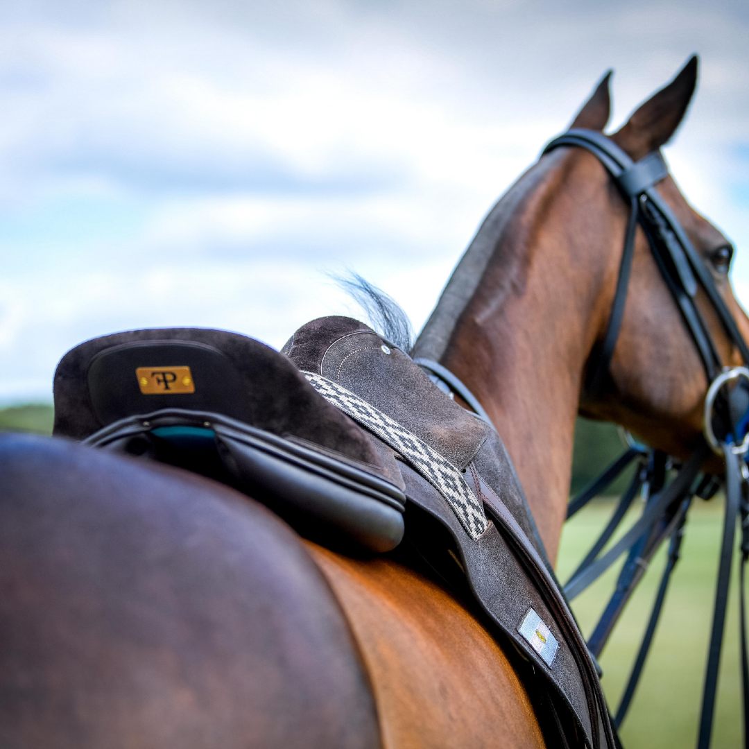 Elevate Your Polo Experience: Unveiling the Power of Supreme Gear for Your Polo Pony - Ainsley Saddlery