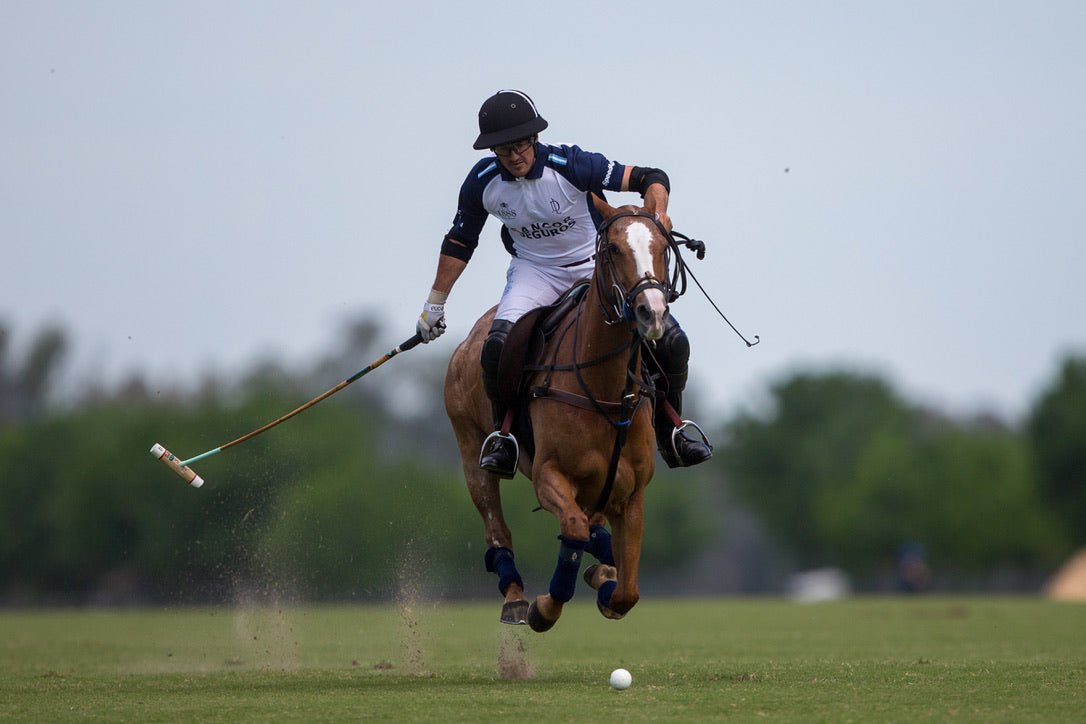 Embark on your Polo Odyssey: Crafting the Perfect Polo Pony Mentality - Ainsley Saddlery