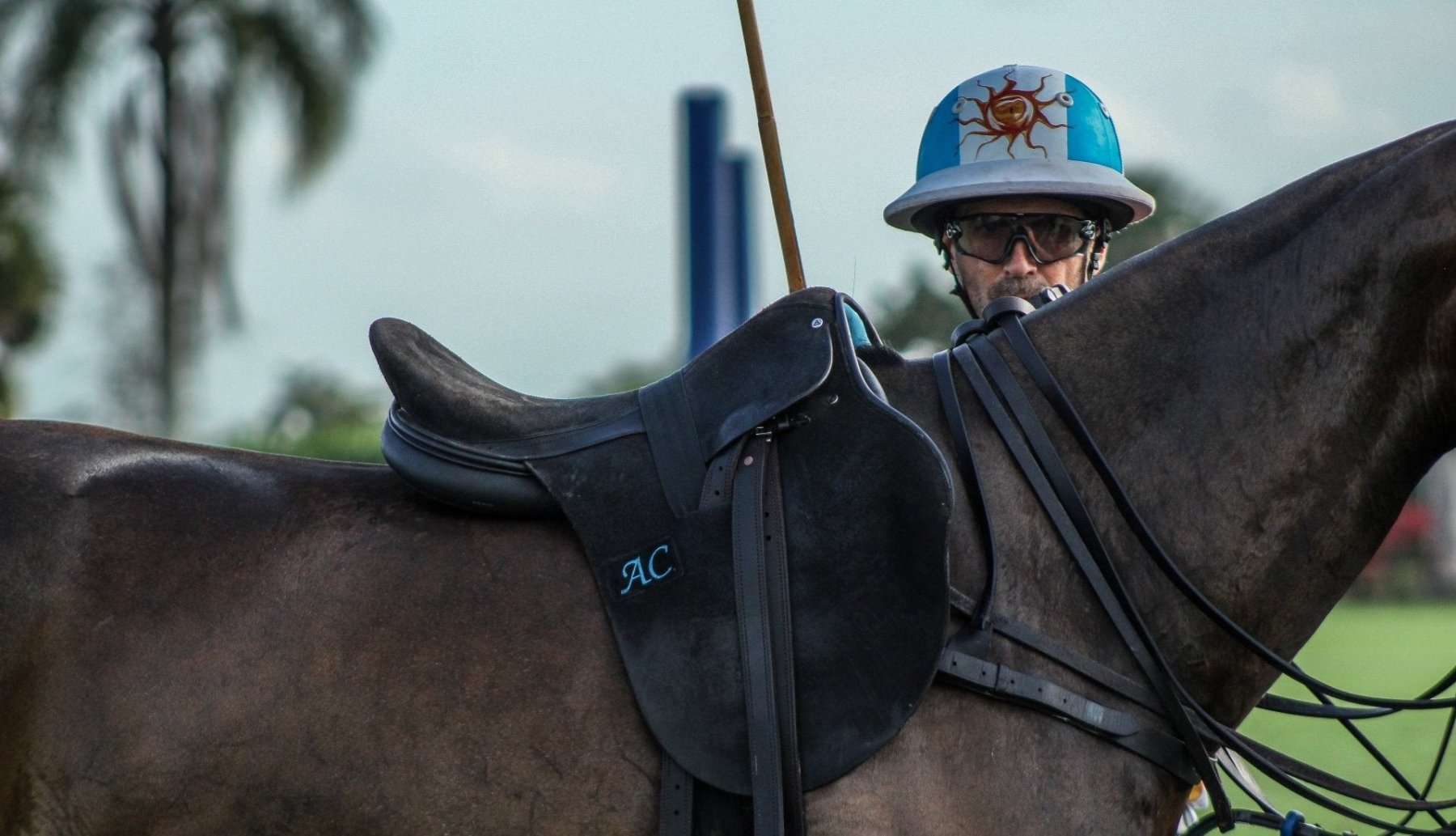 Enhance your Horse Power - Ainsley Saddlery