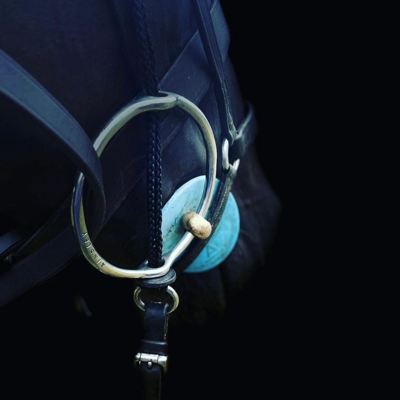 Bits - Ainsley Saddlery