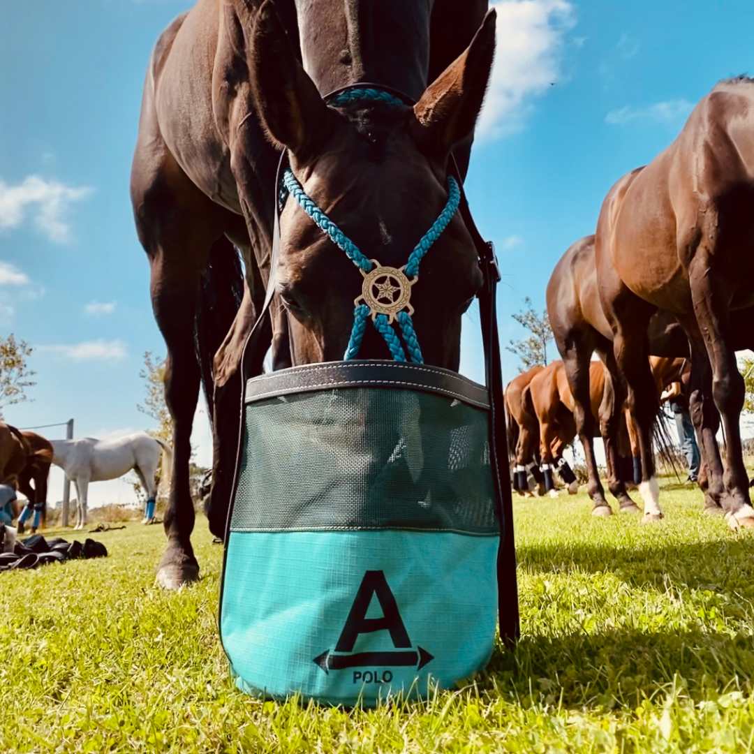 Horse Care & Protection - Ainsley Saddlery