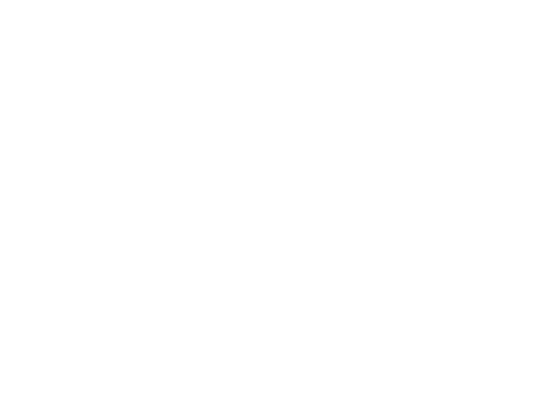 Ainsley Saddlery
