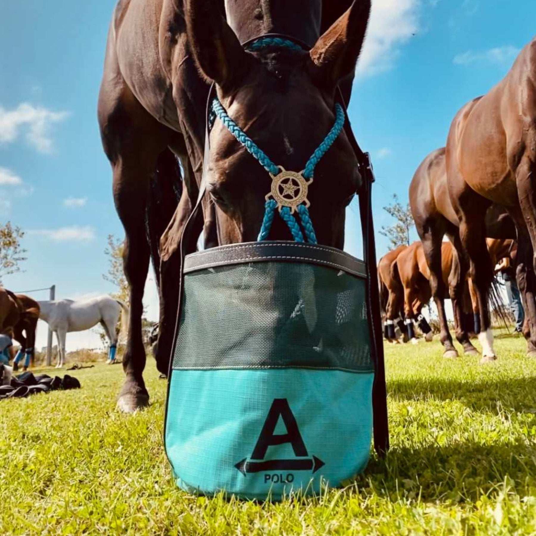 Nose Feed Bags - Ainsley Saddlery