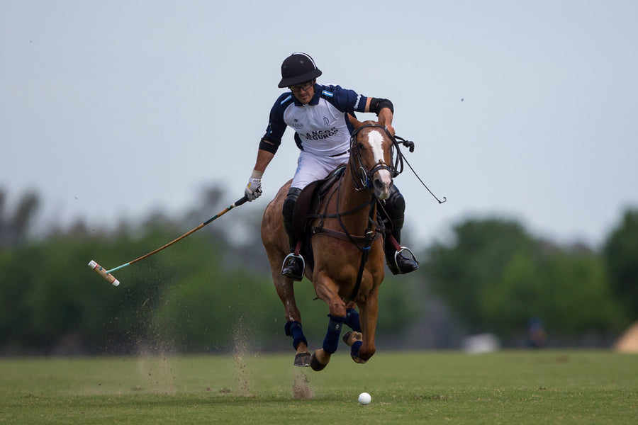 Embark on your Polo Odyssey: Crafting the Perfect Polo Pony Mentality