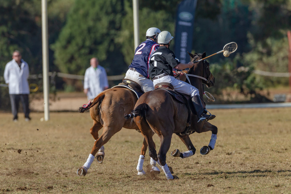 Stock, Station & Polocrosse
