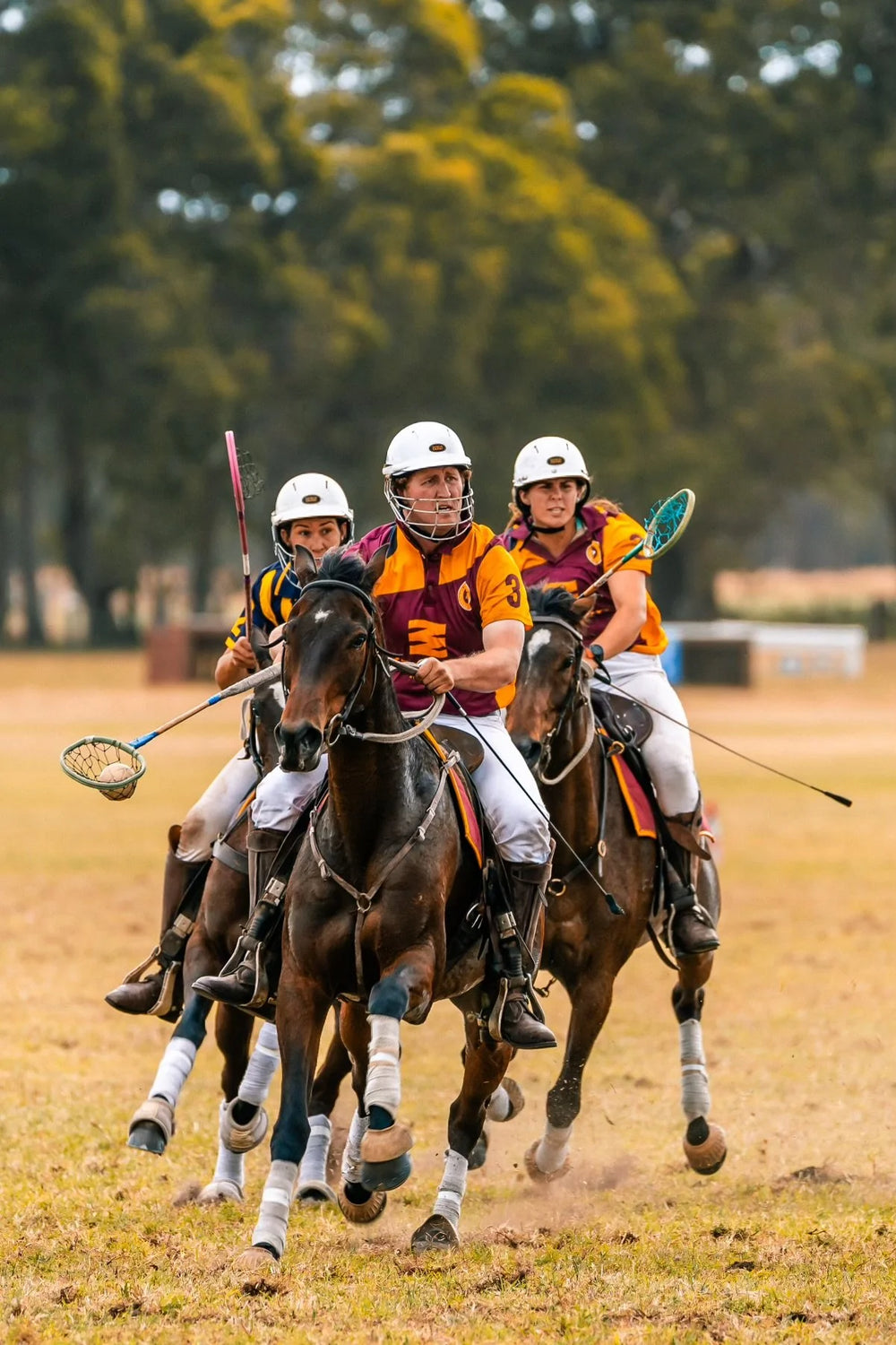 Rider and horse during a full day in the field