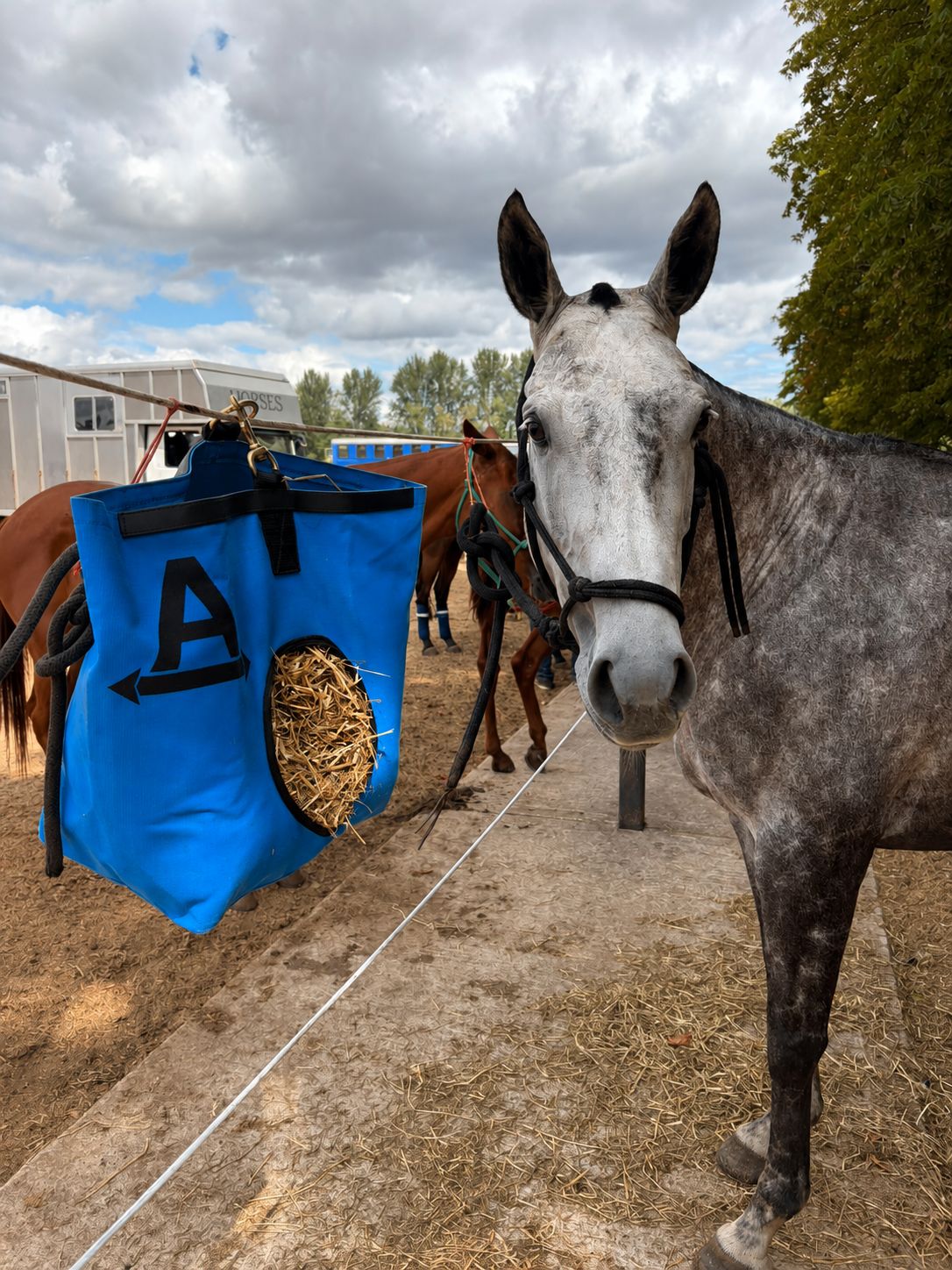 Canvas Hay Bag