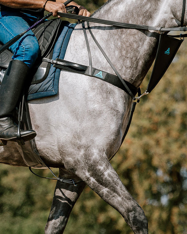 Shoulder freedom from ainsley race saddle